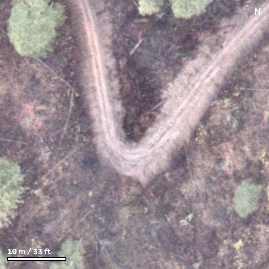 Close-up of the V-shaped hairpin on segment D